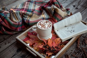 Winter Warmer Hot Chocolate
